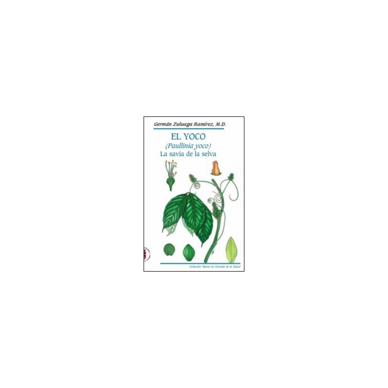 El Yoco (Paullinia yoco). La savia de la selva