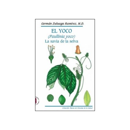 El Yoco (Paullinia yoco). La savia de la selva