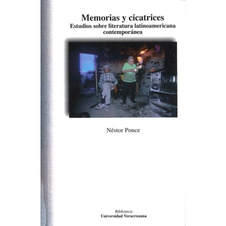 Memorias y cicatrices. Estudios sobre literatura latinoamericana contemporánea
