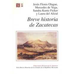 Breve historia de Zacatecas.