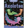 Axolotes ("Aterciopelado")