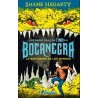 Las aventuras de Finn en Bocanegra