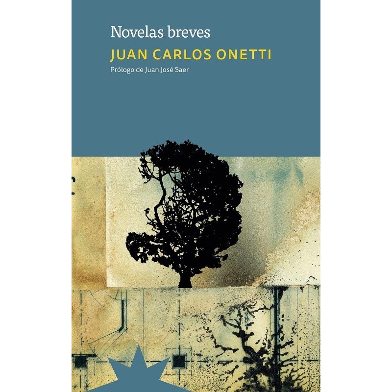 Novelas breves