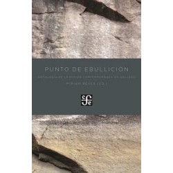 Punto de ebullición. Antología de la poesía contemporánea en gallego