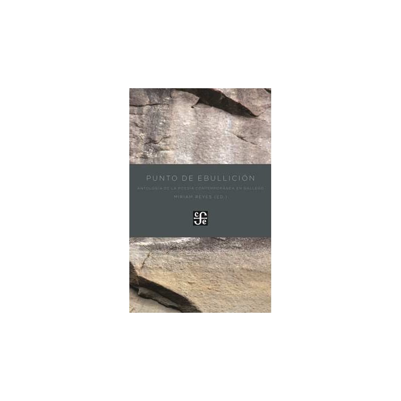 Punto de ebullición. Antología de la poesía contemporánea en gallego