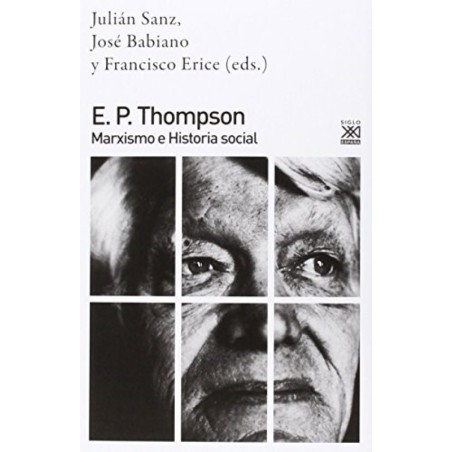 E.P. Thompson, Maxismo e Historia social