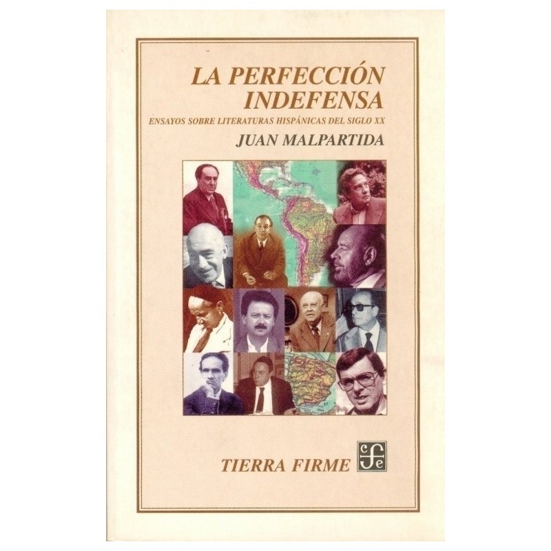 La perfección indefensa: ensayos sobre literaturas hispánicas del siglo XX