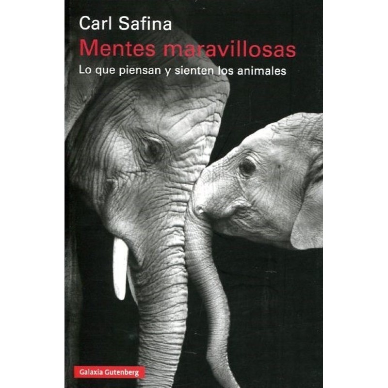 Mentes maravillosas: lo que piensan y sienten los animales