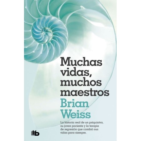 Muchas vidas, muchos maestros