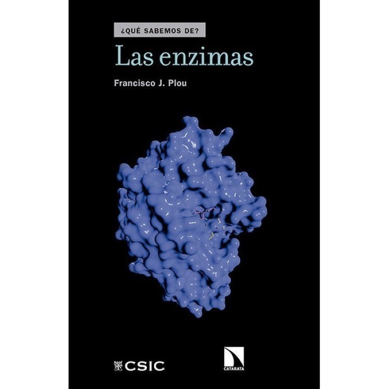 Las enzimas