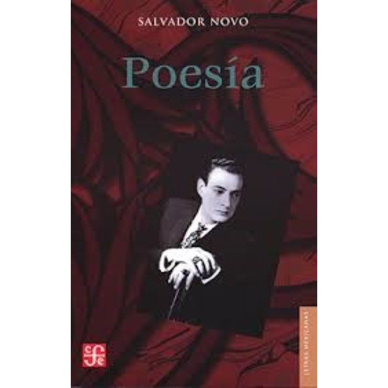 Poesía