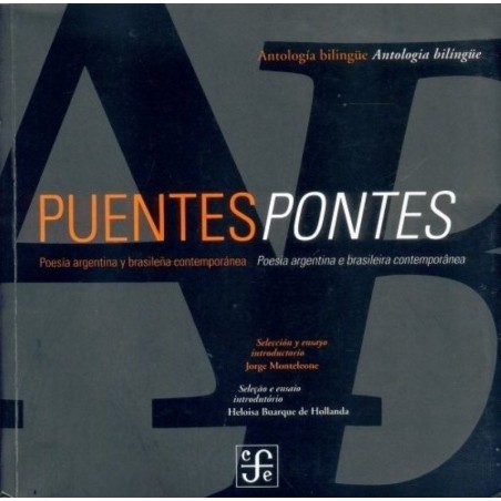 Puentes/Pontes. Poesía argentina y brasileña contemporánea