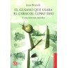 El gusano que usaba el caracol como taxi y otras historias naturales