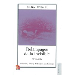 Relámpagos de lo invisible: antología