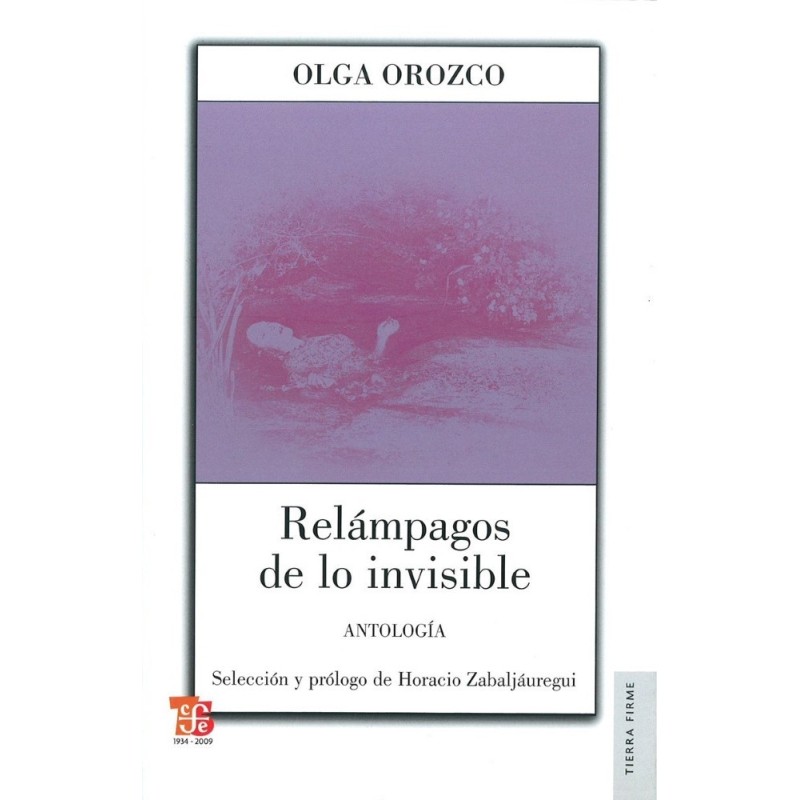 Relámpagos de lo invisible: antología