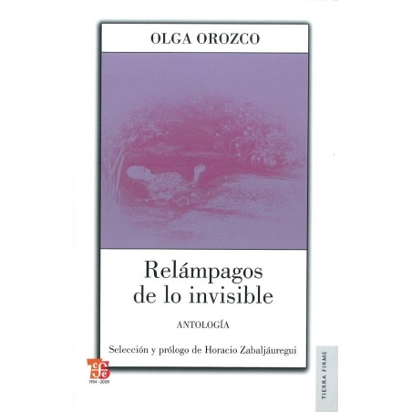 Relámpagos de lo invisible: antología