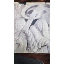 Varias voces para un mismo canto