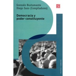 Democracia y poder constituyente