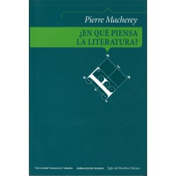 ¿En qué piensa la literatura?