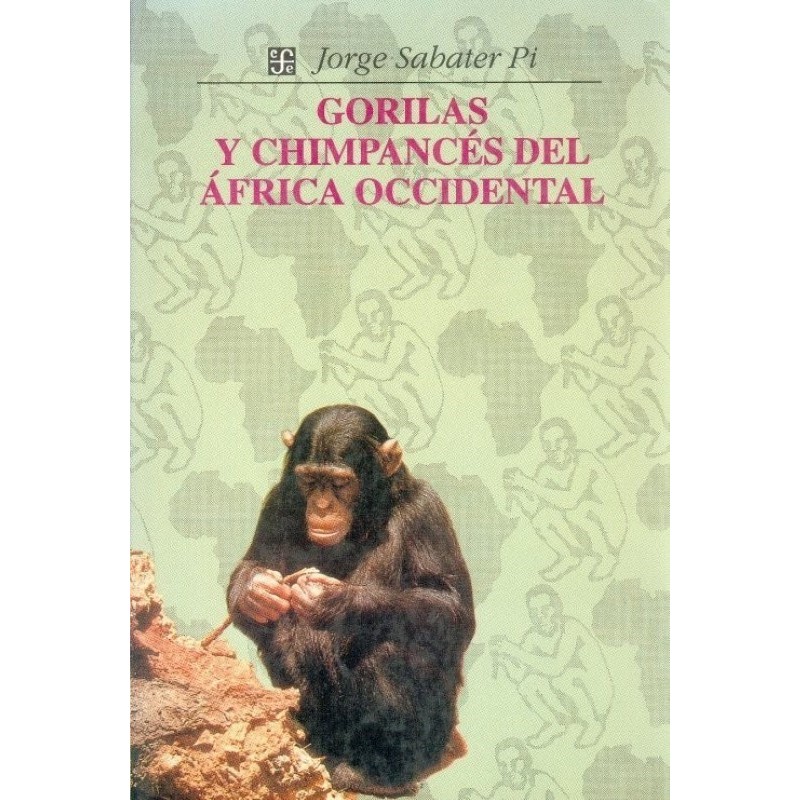 Gorilas y chimpancés del África Occidental