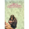 Gorilas y chimpancés del África Occidental