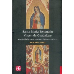 Santa María Tonantzin virgen Guadalupe: continuidad y transformación religiosa