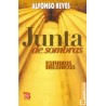 Junta de sombras: estudios helénicos