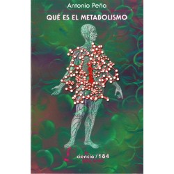 Qué es el metabolismo
