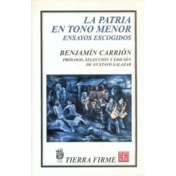La patria en tono menor: ensayos escogidos