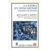 La patria en tono menor: ensayos escogidos