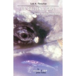 La ballena gris: mexicana por nacimiento