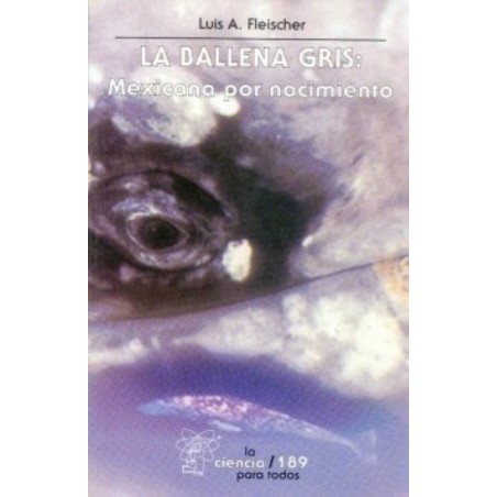 La ballena gris: mexicana por nacimiento