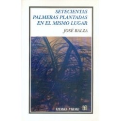 Setecientas palmeras plantadas en el mismo lugar