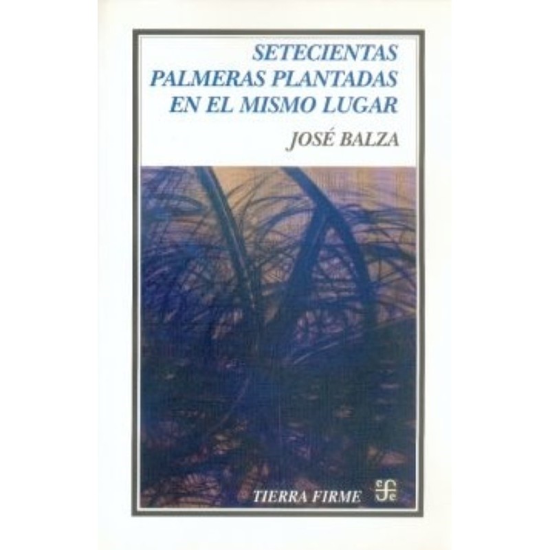 Setecientas palmeras plantadas en el mismo lugar