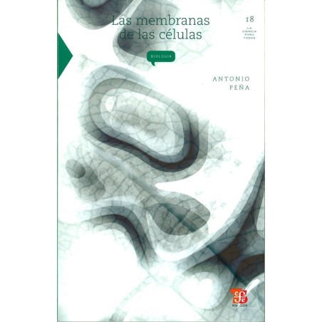 Las membranas de las células.