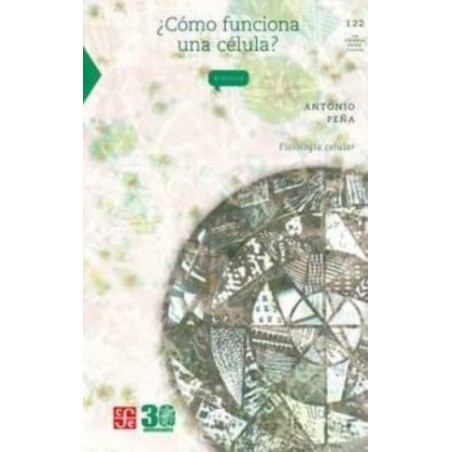 ¿Cómo funciona una célula?: fisiología celular