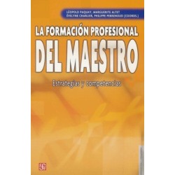 La formación profesional del maestro: estrategias y competencias