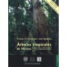 Árboles tropicales de México