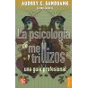 La psicología de mellizos y trillizos: una guía profesional