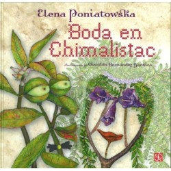 Boda en Chimalistac.