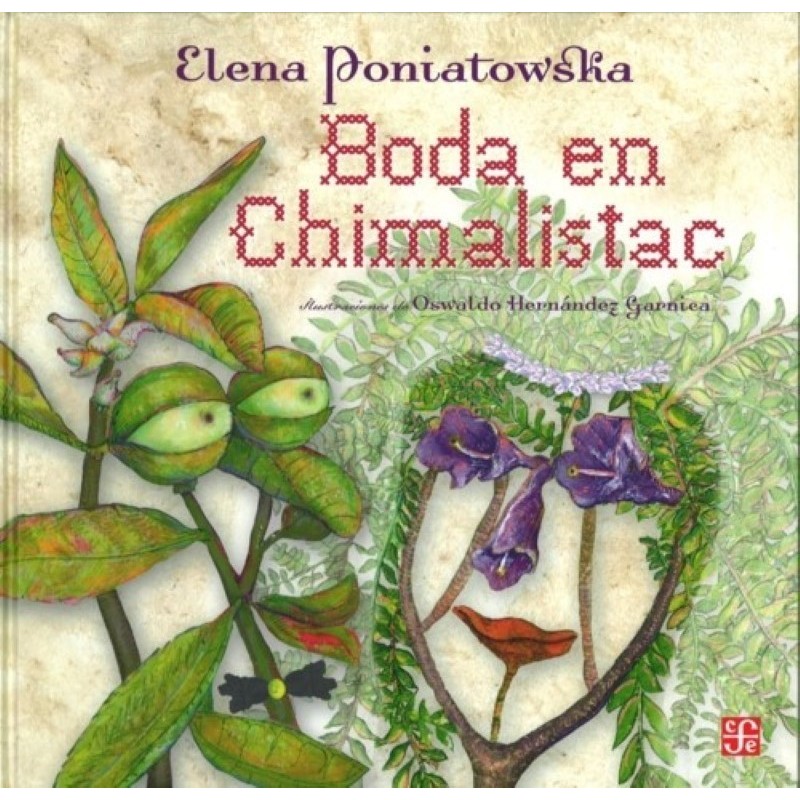 Boda en Chimalistac.