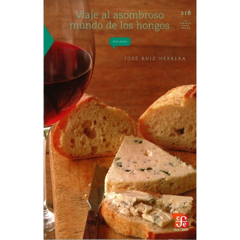 Viaje al asombroso mundo de los hongos