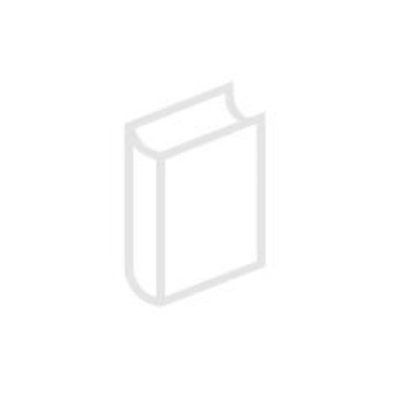 Chiapas 2: autonomía, mesa de derechos y cultura