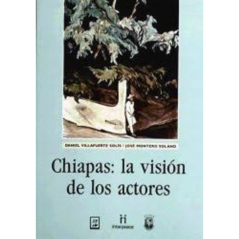 Chiapas: la visión de los actores