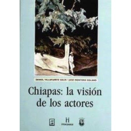 Chiapas: la visión de los actores