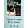 Chiapas: la visión de los actores