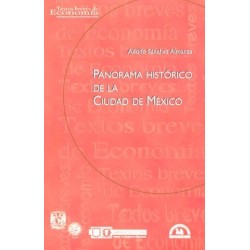 Panorama histórico de la Ciudad de México.
