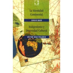 La Identidad Continental: indigenismo y diversidad cultural