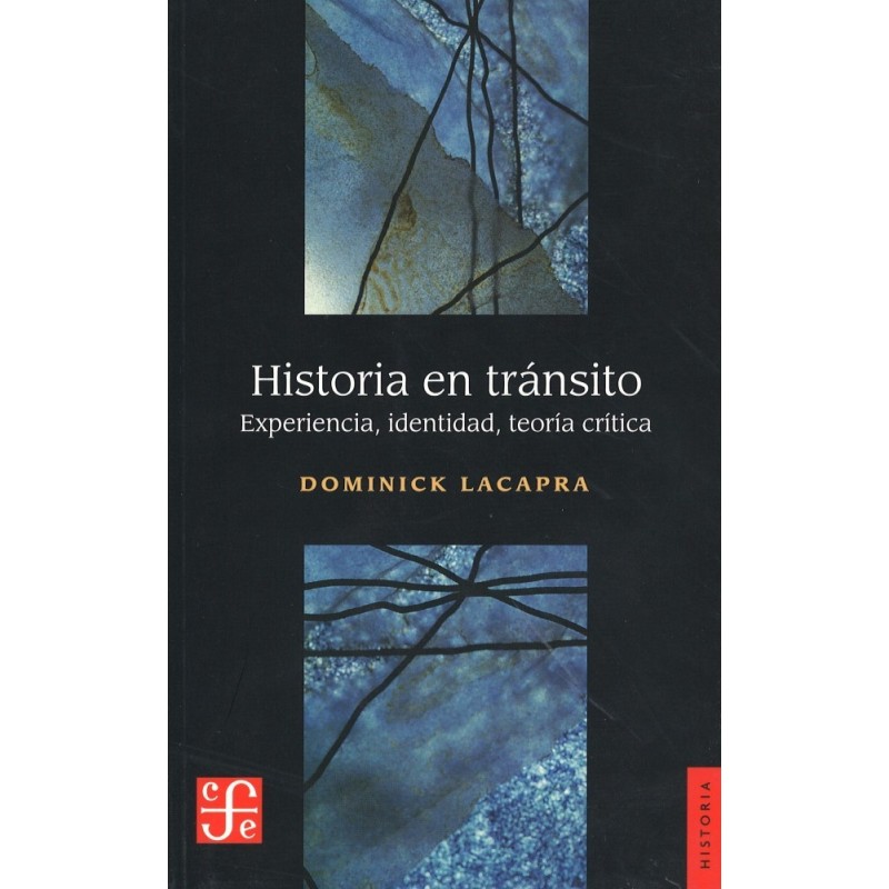 Historia en tránsito: experiencia, identidad, teoría crítica