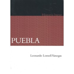 Puebla. Historia breve